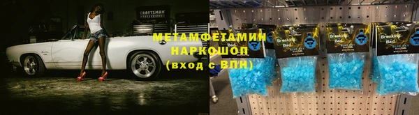 прущие грибы Красноперекопск