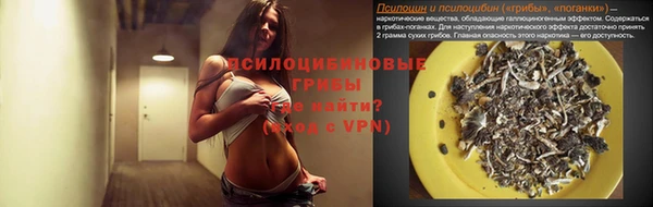 прущие грибы Красноперекопск