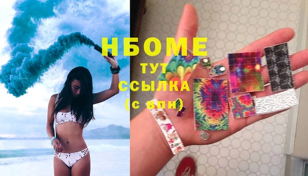 прущие грибы Красноперекопск