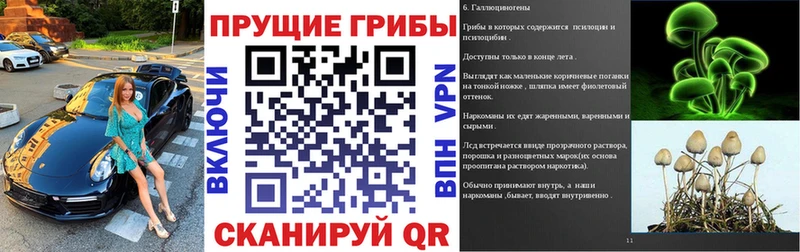 Галлюциногенные грибы Psilocybine cubensis  где найти   сайты даркнета Telegram  Дыгулыбгей 